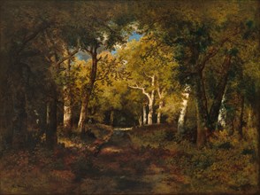In the Forest, 1874.