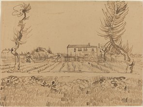 Ploughman in the Fields near Arles, 1888.