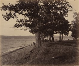 Cayuga Lake, Sheldrake, c. 1895.