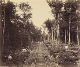 Ganoga Lake Branch, c. 1895.  Sullivan County in Pennsylvania, United States.