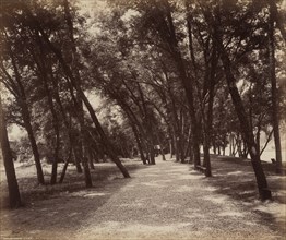 Picnic Grounds, c. 1895.