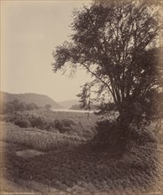 Picturesque Susquehanna, Near Laceyville, c. 1895.