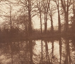 Winter Trees, Reflected in a Pond, 1841-1842.