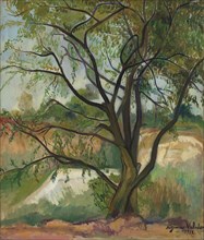 The Tree, 1912. Private Collection.
