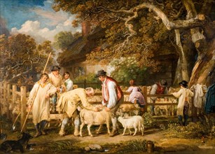 Sheep Salving, 1828.