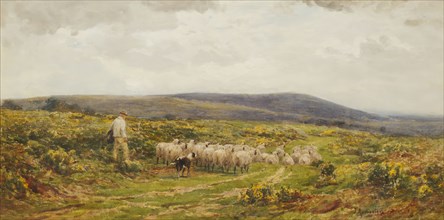 A Herefordshire Common, 1860-1900.
