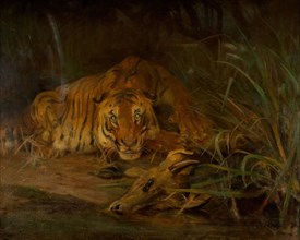 Tiger And Prey, 1931.