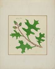 Pieced Autograph Quilt (1 Piece), c. 1936.