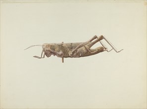 Grasshopper Weather Vane, c. 1936.