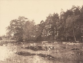Marsh at Piat (Belle-Croix Plateau), c. 1863.