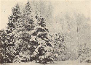Paysage de sapins sous la neige, c. 1852.