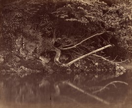 River Bank in the Vale of Neath, c. 1855.