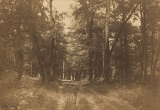 Bas-Bréau, Forest of Fontainebleau, 1849-1852.