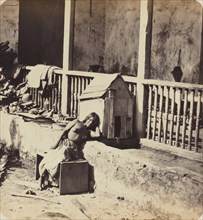 Chien de Garvel (Martinique), 1870s.