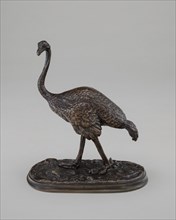 Walking Ostrich, model 19th century.
