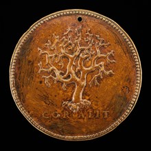 Stalk of Branching Coral [reverse], 16th century. Probably Italian.