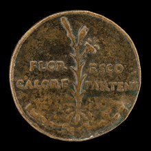 Lily and Inscription [reverse].