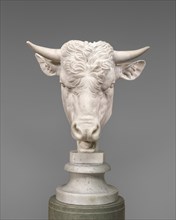 Head of a Bull, 1824.