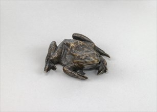 A Toad, 16th century.