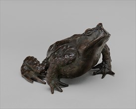A Toad, early 16th century.
