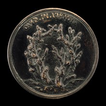 Leafless Branches [reverse], 1739/1744.