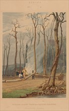 Spring--Burning Fallen Trees in a Girdled Clearing. Western Scene, 1841.