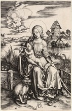 The Virgin and Child with the Monkey, c. 1498.