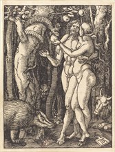 The Fall of Man, probably c. 1509/1510.