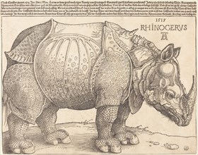 The Rhinoceros, 1515.
