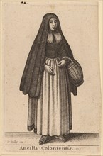 Ancilla Coloniensis, 1643.
