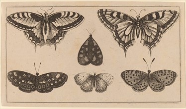 Five Butterflies and a Moth.