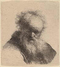 Bust of an Old Man with Flowing Beard and White Sleeve, c. 1630.