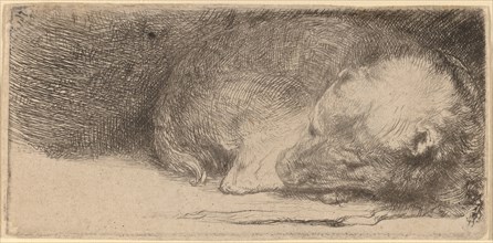 Sleeping Puppy, c. 1640.