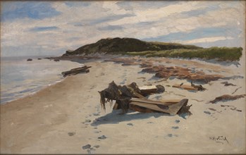 Cape Cod, Beach, 1894.