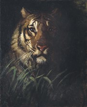 Tiger's Head, ca. 1874.