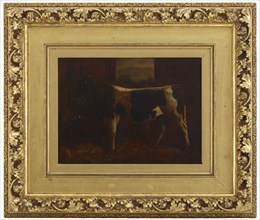 A Prize Bull, 1870.