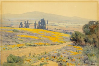 California Spring Landscape, ca. 1920.