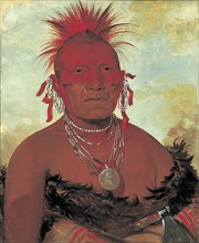 Shón-ka-ki-he-ga, Horse Chief, Grand Pawnee Head Chief, 1832.