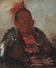 Wah-ro-née-sah, The Surrounder, Chief of the Tribe, 1832.