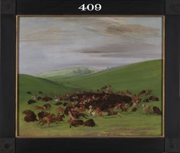 Buffalo Chase, a Surround by the Hidatsa, 1832-1833.
