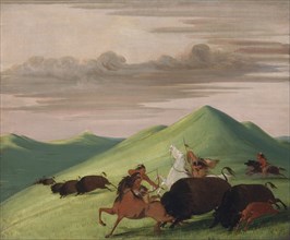 Buffalo Chase, Bull Protecting a Cow and Calf, 1832-1833.