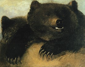 Weapons and Physiognomy of the Grizzly Bear, 1846-1848.