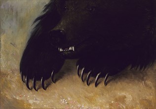 Weapons and Physiognomy of the Grizzly Bear, 1846-1848.