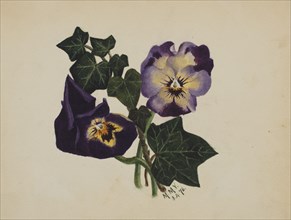 Untitled (Pansies and Ivy), 1876.