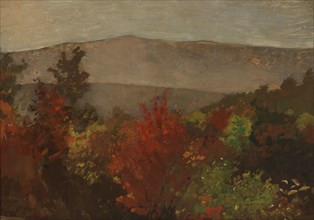 Autumn Treetops, October 11, 1873.