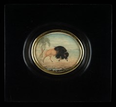 Bisonte con palmeras (Bison with Palm Trees), ca. 1825-1850. Attributed to Goyena family.