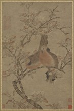 Two Doves on a Flowering Branch, 14th-15th century. Formerly attributed to Bian Luan.