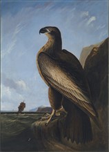 Washington Sea Eagle, ca. 1836-1839.