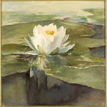 Water Lily in Sunlight, ca. 1883.