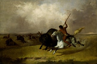 Buffalo Hunt on the Southwestern Prairies, 1845.